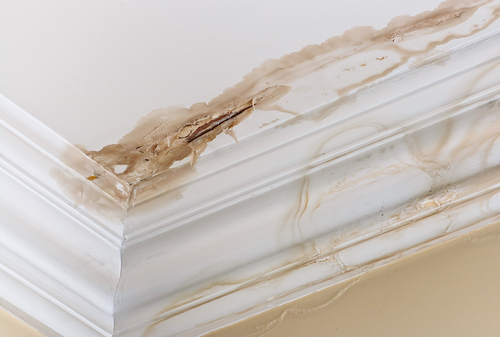 Water damage leads to more serious problems